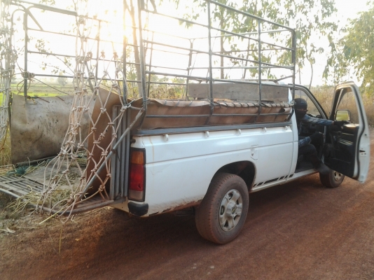 NISSAN BIG M เครื่องเบนซิน สภาพสวย ภาษีเต็ม ด่วนเลยคับมาวันนี้พิเศษ68000