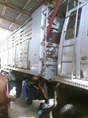 นางฟ้า240แท้