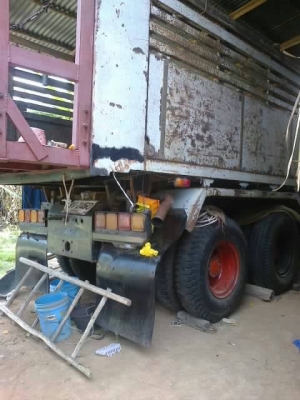 นางฟ้า240แท้