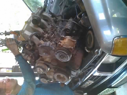 ขายเครื่องมังกรทองพร้อมเกียร์ ขายเครื่องมังกรทองพร้อมเกียร์