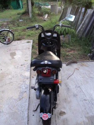 ขาย Choi nori ราคาถูก 7,500 บาท