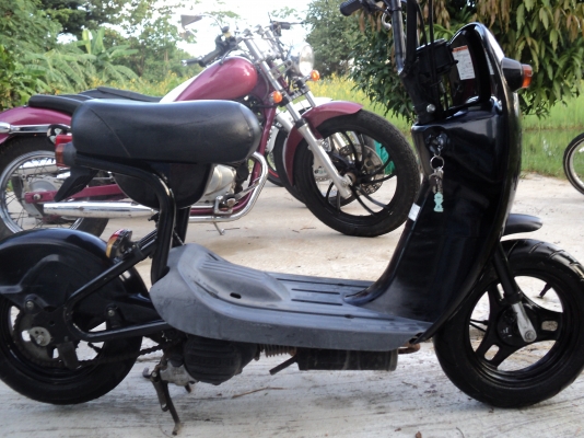 ขาย Choi nori ราคาถูก 7,500 บาท