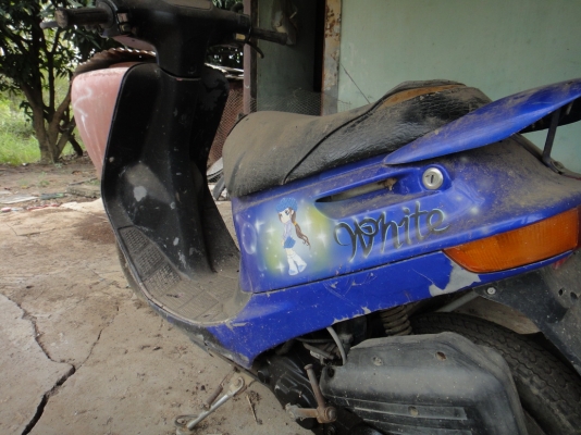 รถป๊อบ ฮอนด้า Dio