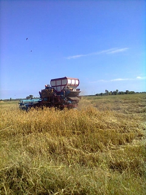 ปรับราคาขายครับ