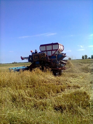 ปรับราคาขายครับ