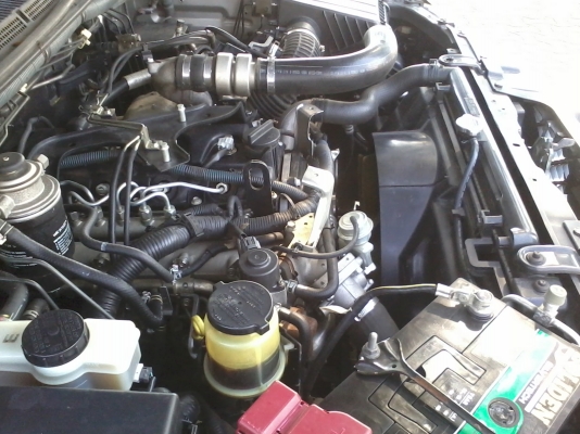 NISSAN NAVARA (08-09) 2.5 ปี 2008 NISSAN NAVARA (08-09) 2.5 ปี 2008