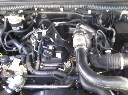 NISSAN NAVARA (08-09) 2.5 ปี 2008 NISSAN NAVARA (08-09) 2.5 ปี 2008