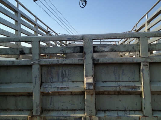 สวยๆเลยกระบะคอกสูงสแตนเลส 100\%สภาพดีครับ ยาว 5.30 เมตร สูง 1.50 เมตร กว้าง 2.45 เมตร สภาพสมบูรณ์ สวยๆเลยกระบะคอกสูงสแตนเลส 100\%สภาพดีครับ ยาว 5.30 เมตร สูง 1.50 เมตร กว้าง 2.45 เมตร สภาพสมบูรณ์