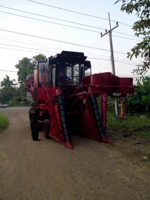 ขายรถตัดอ้อยสภาพพร้อมลงแปลงตัดได้เลย ไม่ต้องซ่อม ลดราคาพิเศษเหลือ4,000,000