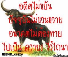 CAT 70B  มาแล้ว  เก่านอกแท้ๆ เอวแน่น ปั็มแรง