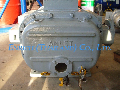จำหน่ายและรับซ่อมปั๊มสุญญากาศ (Vacuum Pump - Sales &amp; Services):