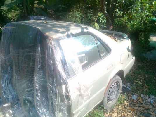 ขายตูดตัดให้หมดตามรูปเดิมบางรับประกัน ขายตูดตัดให้หมดตามรูปเดิมบางรับประกัน