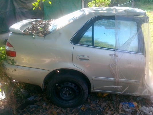 ขายตูดตัดให้หมดตามรูปเดิมบางรับประกัน ขายตูดตัดให้หมดตามรูปเดิมบางรับประกัน