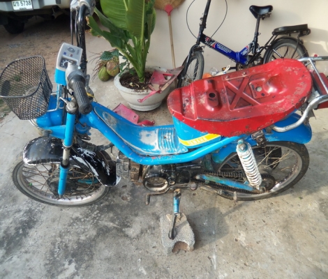 ขายชิปปี้6500บาท ขายชิปปี้6500บาท