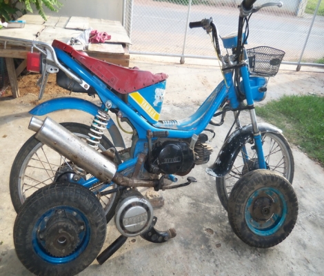 ขายชิปปี้6500บาท