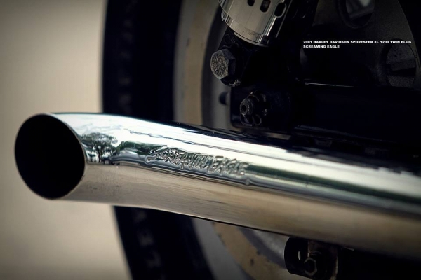 ขาย Harley Davidson sportster 1200 ปี 2001 อินวอย สพม แท้ ของแต่งเยอะตามรูป มีของเดิมให้ 330000 โทร  0811160919