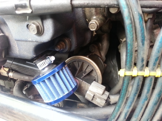 ขายกรองแต่งลูกเล็ก