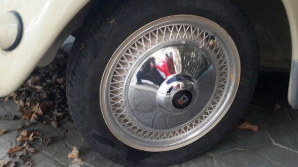 ขายรถเต่าจอไข่ ปี1955