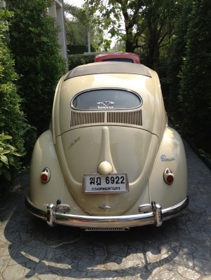 ขายรถเต่าจอไข่ ปี1955