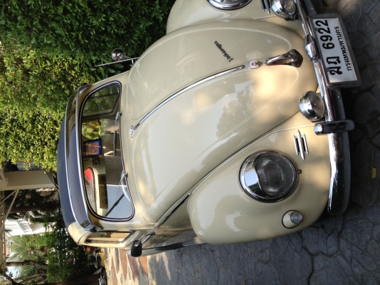 ขายรถเต่าจอไข่ ปี1955