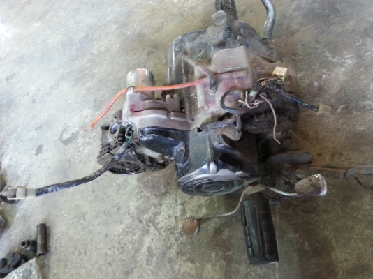 ขายเครื่อง TIGER สตาดมือ