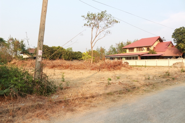 ขายที่่ดินในหมู่บ้าน ธารทิพ สันกำแพง เชียงใหม่ พร้อมโอน เจ้าของขายเองติดต่อโดยตรง ขายที่่ดินในหมู่บ้าน ธารทิพ สันกำแพง เชียงใหม่ พร้อมโอน เจ้าของขายเองติดต่อโดยตรง