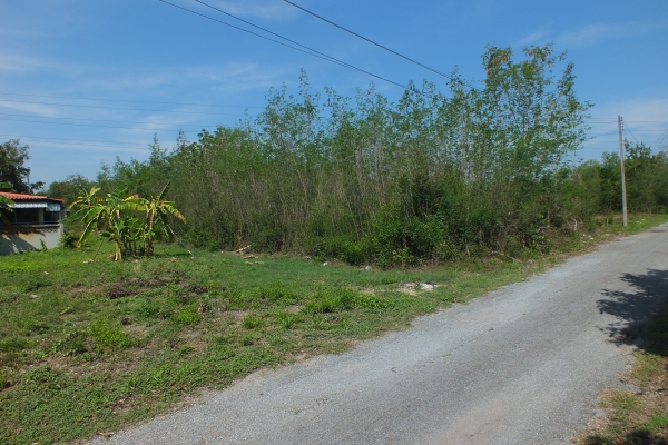 ขายที่่ดินในหมู่บ้าน ธารทิพ สันกำแพง เชียงใหม่ พร้อมโอน เจ้าของขายเองติดต่อโดยตรง ขายที่่ดินในหมู่บ้าน ธารทิพ สันกำแพง เชียงใหม่ พร้อมโอน เจ้าของขายเองติดต่อโดยตรง