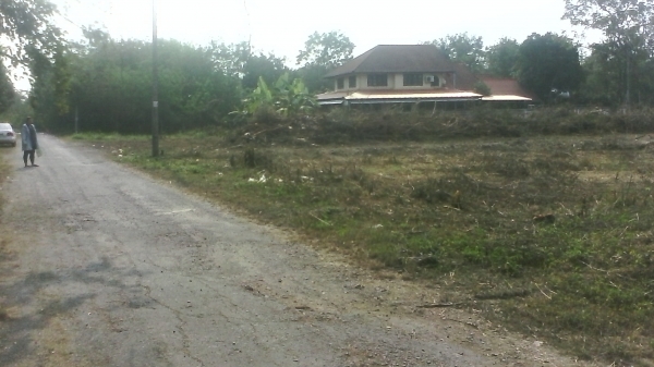 ขายที่่ดินในหมู่บ้าน ธารทิพ สันกำแพง เชียงใหม่ พร้อมโอน เจ้าของขายเองติดต่อโดยตรง ขายที่่ดินในหมู่บ้าน ธารทิพ สันกำแพง เชียงใหม่ พร้อมโอน เจ้าของขายเองติดต่อโดยตรง