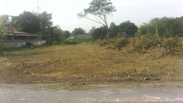 ขายที่่ดินในหมู่บ้าน ธารทิพ สันกำแพง เชียงใหม่ พร้อมโอน เจ้าของขายเองติดต่อโดยตรง ขายที่่ดินในหมู่บ้าน ธารทิพ สันกำแพง เชียงใหม่ พร้อมโอน เจ้าของขายเองติดต่อโดยตรง