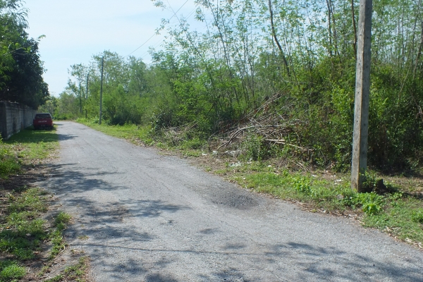 ขายที่่ดินในหมู่บ้าน ธารทิพ สันกำแพง เชียงใหม่ พร้อมโอน เจ้าของขายเองติดต่อโดยตรง ขายที่่ดินในหมู่บ้าน ธารทิพ สันกำแพง เชียงใหม่ พร้อมโอน เจ้าของขายเองติดต่อโดยตรง