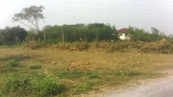 ขายที่่ดินในหมู่บ้าน ธารทิพ สันกำแพง เชียงใหม่ พร้อมโอน เจ้าของขายเองติดต่อโดยตรง ขายที่่ดินในหมู่บ้าน ธารทิพ สันกำแพง เชียงใหม่ พร้อมโอน เจ้าของขายเองติดต่อโดยตรง