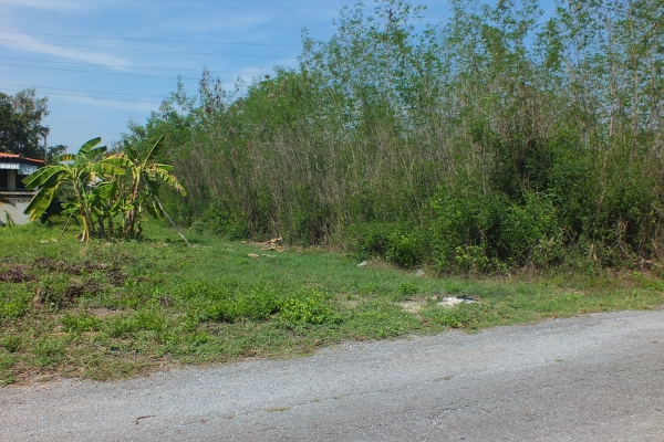 ขายที่่ดินในหมู่บ้าน ธารทิพ สันกำแพง เชียงใหม่ พร้อมโอน เจ้าของขายเองติดต่อโดยตรง ขายที่่ดินในหมู่บ้าน ธารทิพ สันกำแพง เชียงใหม่ พร้อมโอน เจ้าของขายเองติดต่อโดยตรง