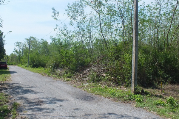 ขายที่่ดินในหมู่บ้าน ธารทิพ สันกำแพง เชียงใหม่ พร้อมโอน เจ้าของขายเองติดต่อโดยตรง ขายที่่ดินในหมู่บ้าน ธารทิพ สันกำแพง เชียงใหม่ พร้อมโอน เจ้าของขายเองติดต่อโดยตรง