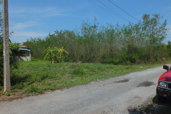 ขายที่่ดินในหมู่บ้าน ธารทิพ สันกำแพง เชียงใหม่ พร้อมโอน เจ้าของขายเองติดต่อโดยตรง ขายที่่ดินในหมู่บ้าน ธารทิพ สันกำแพง เชียงใหม่ พร้อมโอน เจ้าของขายเองติดต่อโดยตรง