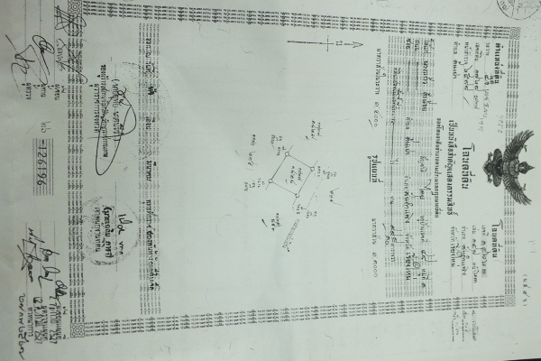 ขายที่่ดินในหมู่บ้าน ธารทิพ สันกำแพง เชียงใหม่ พร้อมโอน เจ้าของขายเองติดต่อโดยตรง ขายที่่ดินในหมู่บ้าน ธารทิพ สันกำแพง เชียงใหม่ พร้อมโอน เจ้าของขายเองติดต่อโดยตรง