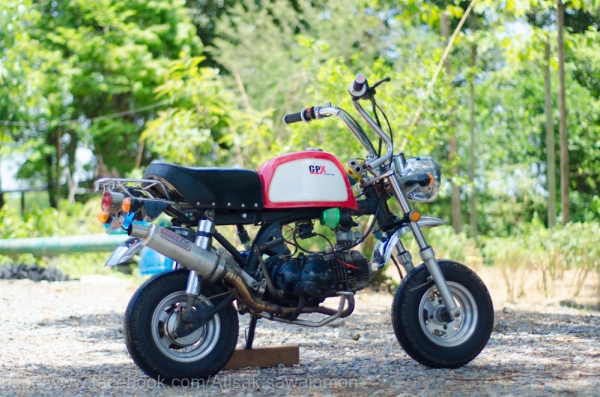 ขายกอลิล่า สวยๆถูกๆ  ครัชมือ ทะเบียน แรงได้ใจ