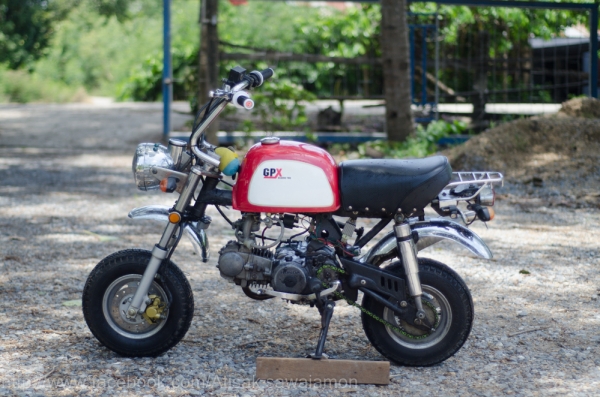 ขายกอลิล่า สวยๆถูกๆ  ครัชมือ ทะเบียน แรงได้ใจ