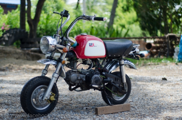 ขายกอลิล่า สวยๆถูกๆ  ครัชมือ ทะเบียน แรงได้ใจ