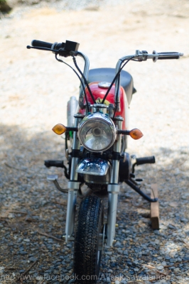 ขายกอลิล่า สวยๆถูกๆ  ครัชมือ ทะเบียน แรงได้ใจ