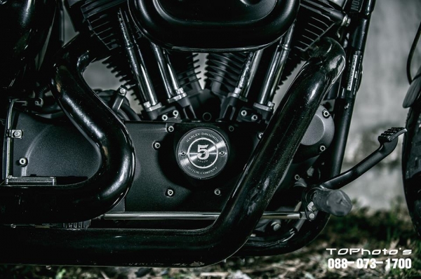 HD - Sportster ปี2002  แต่ง 48 Forty-Eight