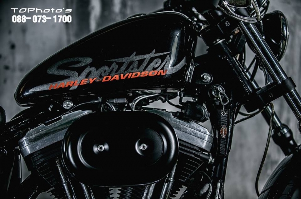 HD - Sportster ปี2002  แต่ง 48 Forty-Eight