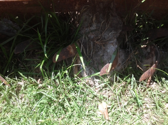 ขายตามสภาพโรต้ารีคูโบต้า1.60เมตร ขายตามสภาพโรต้ารีคูโบต้า1.60เมตร