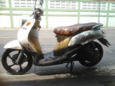 ฟีโน่ปี2554