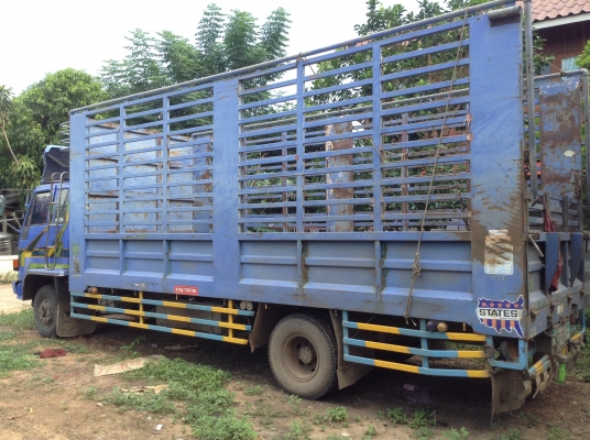 ขาย 6 ล้อ ROCKY FRR 175 กระบะยาว 6 เมตร เครื่อง 6BG1 175 แรงม้า คัสซีสวย พวงมาลัยพาวเวอร์ เบรคทิฟฟี่ ทะเบียนเต็มพร้อมโอน