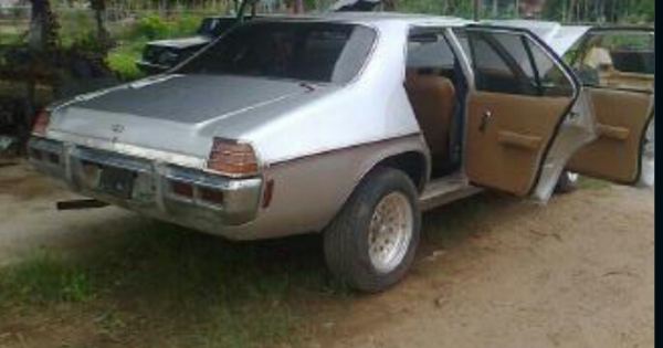 โฮเด้น 1974