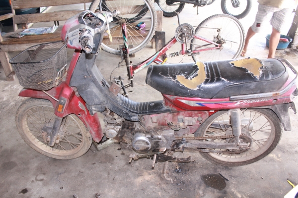 ดรีมตูดมน พร้อมใช้