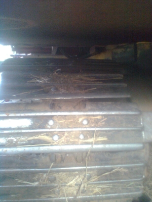 ไบเเทรก