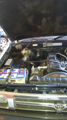 ขายไมตี้เอ็กซ์ ขายไมตี้เอ็กซ์