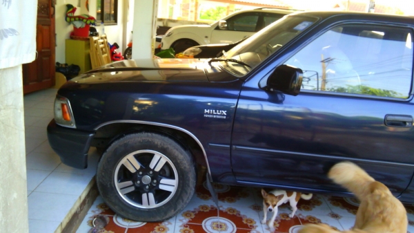 ขายไมตี้เอ็กซ์ ขายไมตี้เอ็กซ์