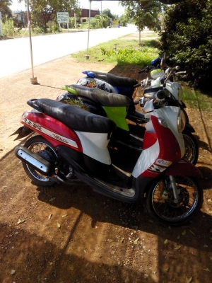 ฟีโน่ราคาเหมา สามคัน